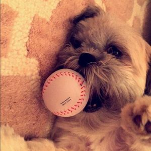 Meet your Posher, Mary