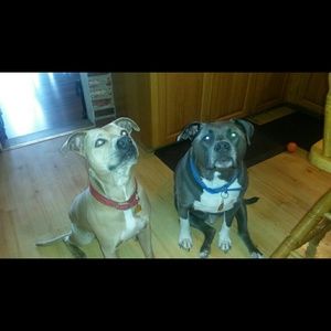 Meet your Posher, Deb