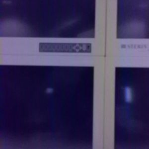 Meet your Posher, Bridgette