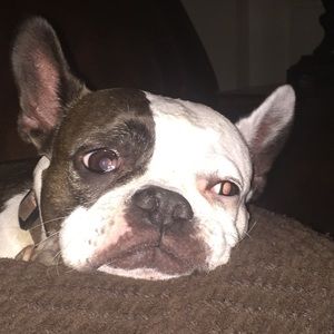 Meet your Posher, Carey