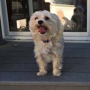 Meet your Posher, Amanda