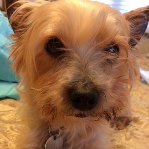 Meet your Posher, Denise