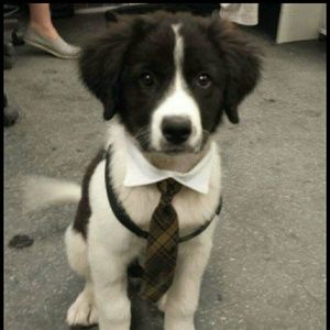 Meet your Posher, Marisol