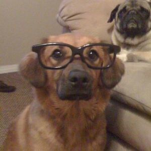 Meet your Posher, Jill