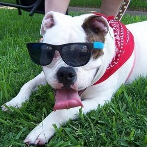 Meet your Posher, Patrick