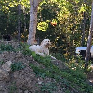 Meet your Posher, Noelle