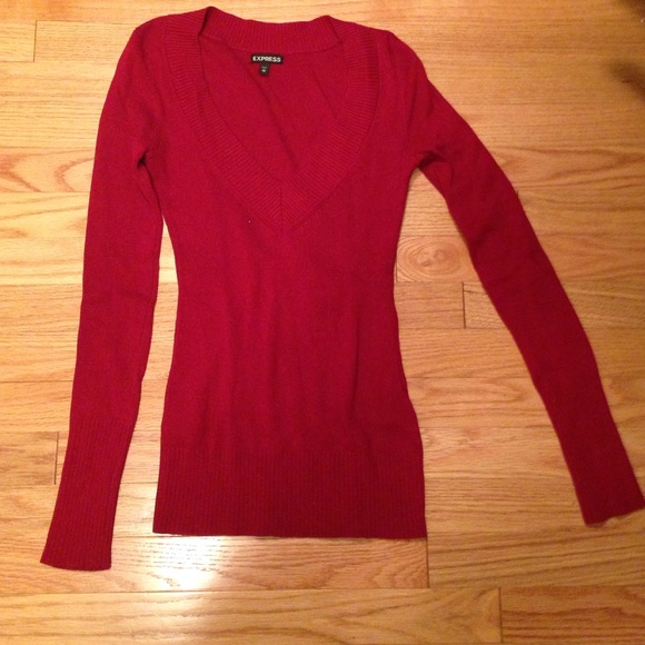 Express v-neck sweater