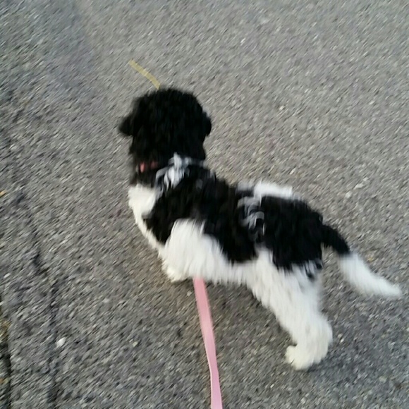 Meet your Posher, Emily