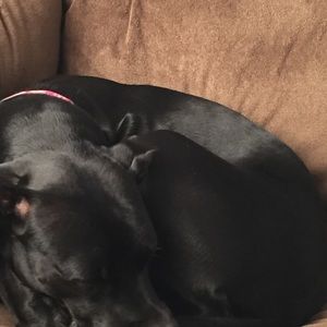 Meet your Posher, Kim