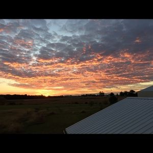 Meet your Posher, Sami