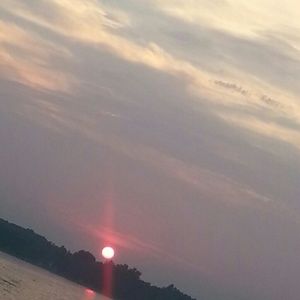 Meet your Posher, Liza