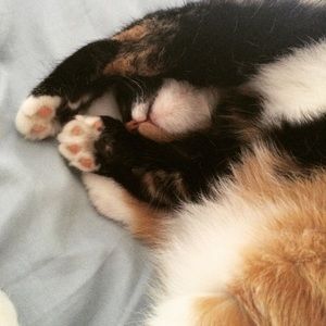 Meet your Posher, Meghan