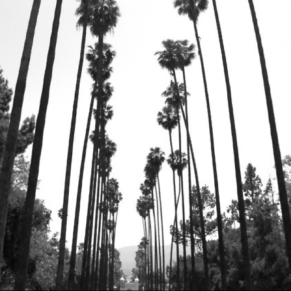 Meet your Posher, Ashley - Picture 1 of 1