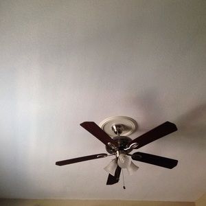 Meet your Posher, Bec