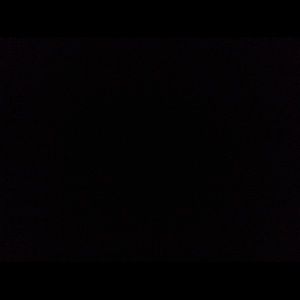 Meet your Posher, Luna