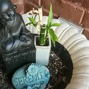 Meet your Posher, Roberta