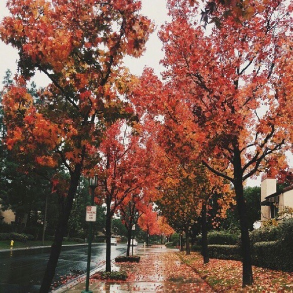 Meet your Posher, A - Picture 2 of 2