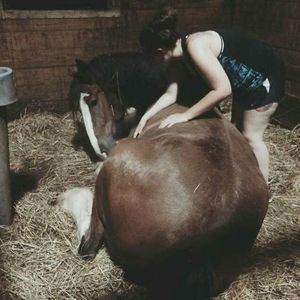 Meet your Posher, Taylor