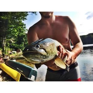 Meet your Posher, Tyler