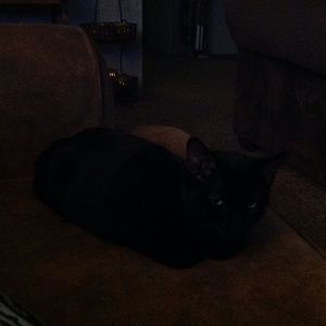 Meet your Posher, Janet