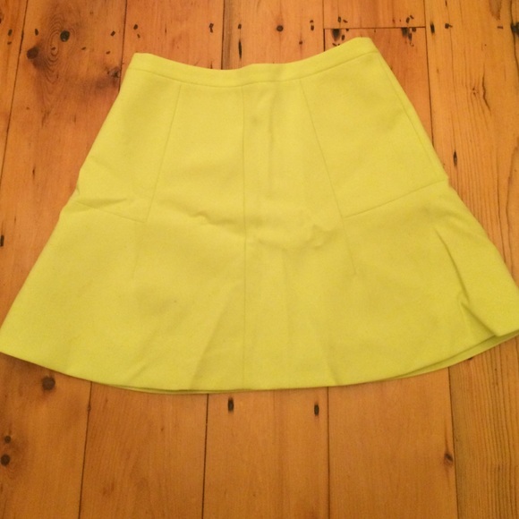 J. Crew Skater Skirt