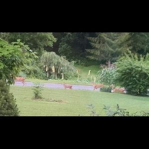 Meet your Posher, Mary