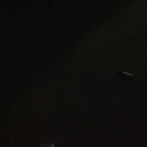 Meet your Posher, Brock