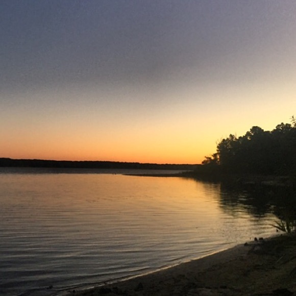 Meet your Posher, Juju - Picture 1 of 1