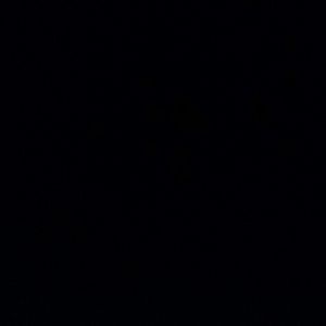 Meet your Posher, Ali