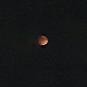 Meet your Posher, Nichole