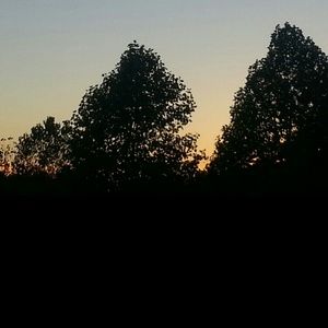 Meet your Posher, Nora