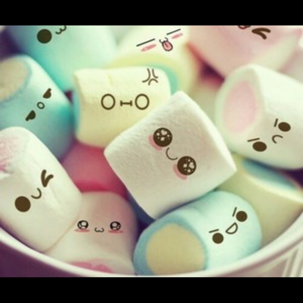 Meet your Posher, Keo!