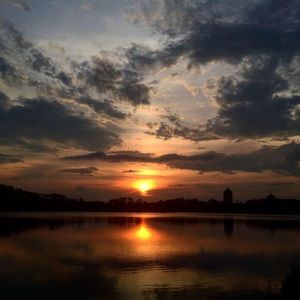 Meet your Posher, Sydney