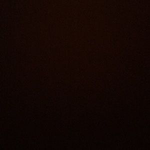 Meet your Posher, Ingrid