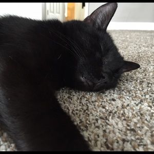 Meet your Posher, Shelly