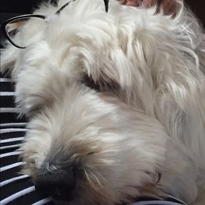 Meet your Posher, Ally