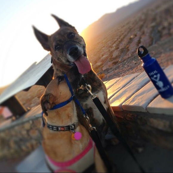 Meet your Posher/shoe hoarder! - Picture 2 of 3