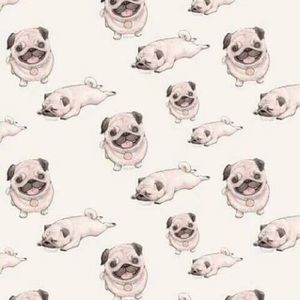 Meet your Posher, Tima