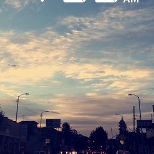 Meet your Posher, Betzy