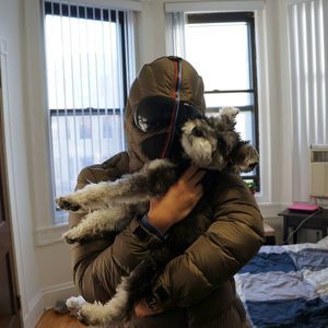 Meet your Posher, Wei