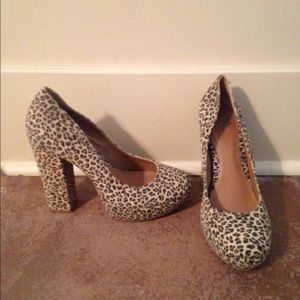 Gianni Bini leopard heels!