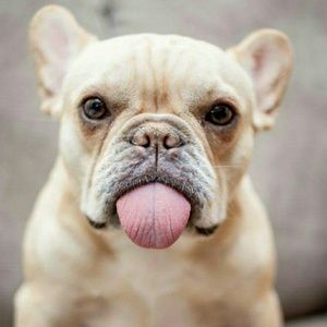 Meet your Posher, Lizzie