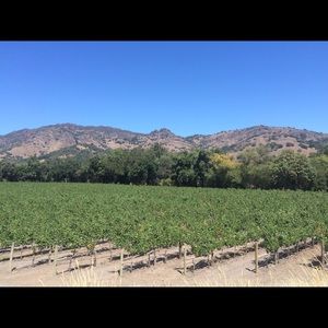 Meet your Posher, Kristen