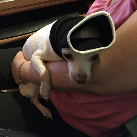 Meet your Posher, Victoria