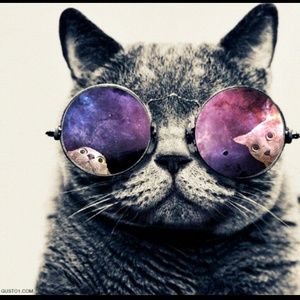 Meet your Posher, Flame