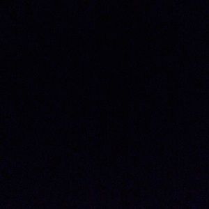 Meet your Posher, Tamara