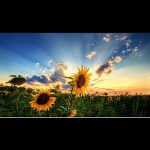 Meet your Posher, Shalese