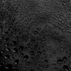 Meet your Posher, Nga