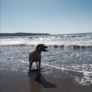 Meet your Posher, Georgia