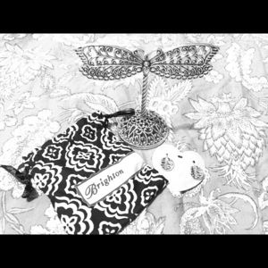 Brighton jewelry holder & earrings